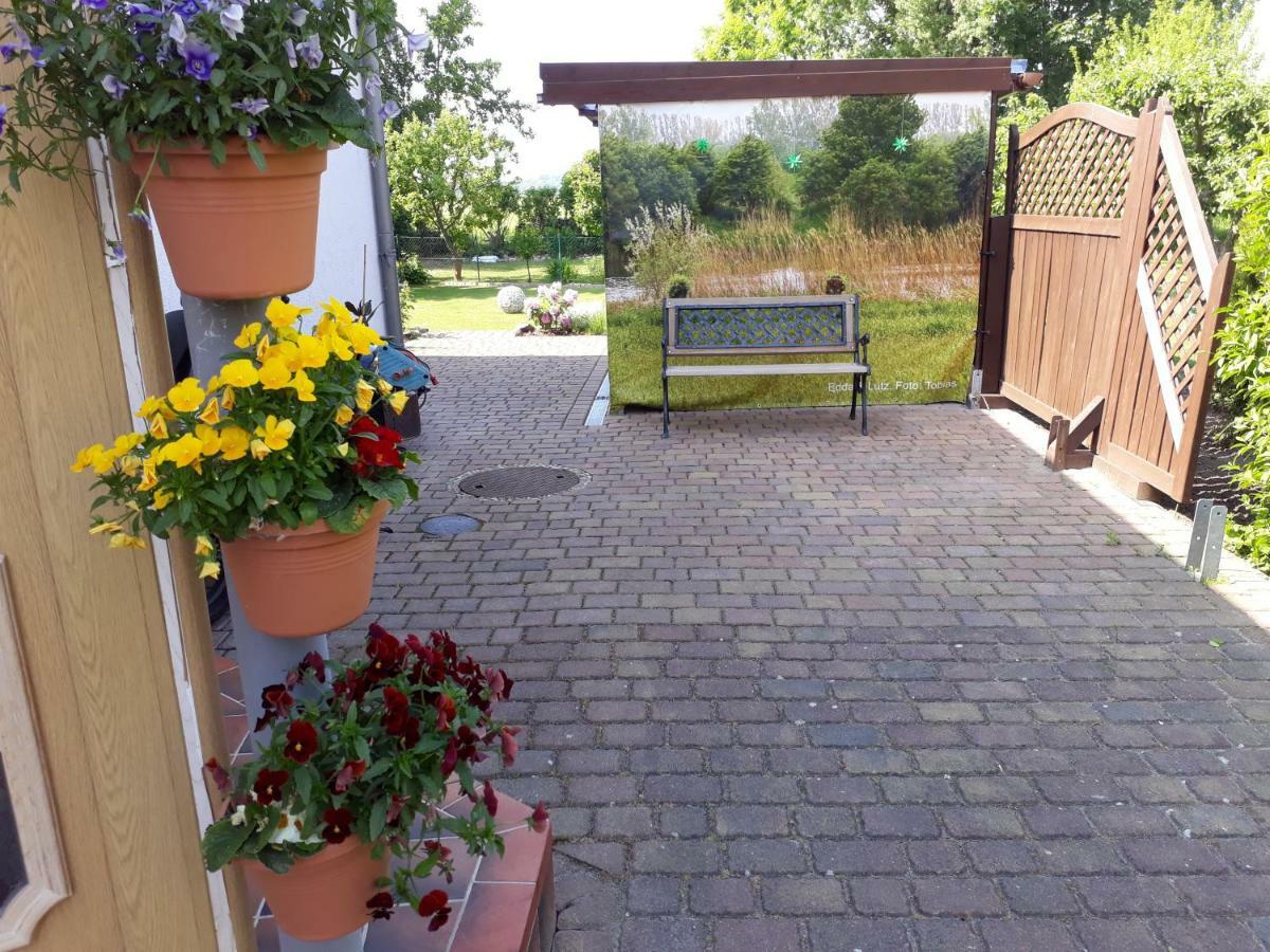 Ostseeferien In Lichtenhagen-Dorf Ferienwohnung Elmenhorst/Lichtenhagen Bagian luar foto